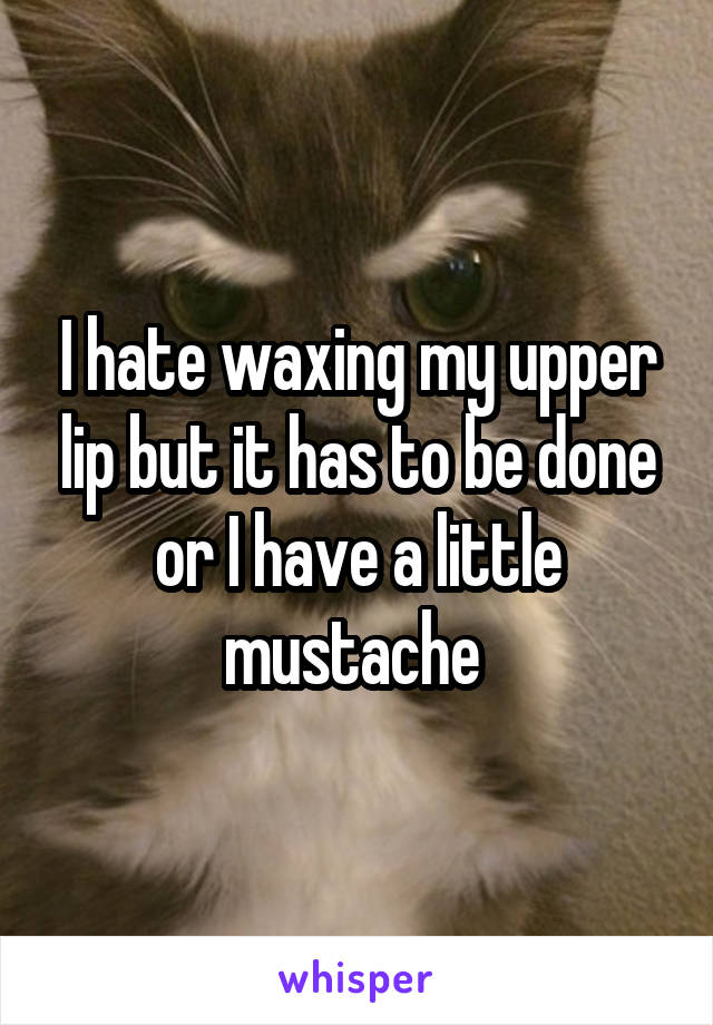 I hate waxing my upper lip but it has to be done or I have a little mustache 