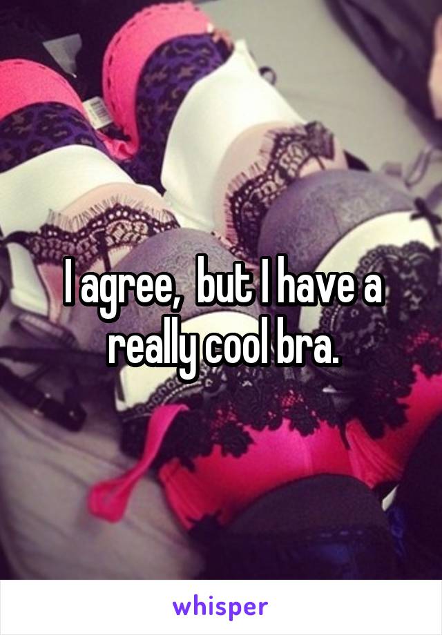I agree,  but I have a really cool bra.