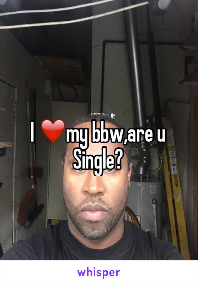 I ❤️my bbw,are u Single?
