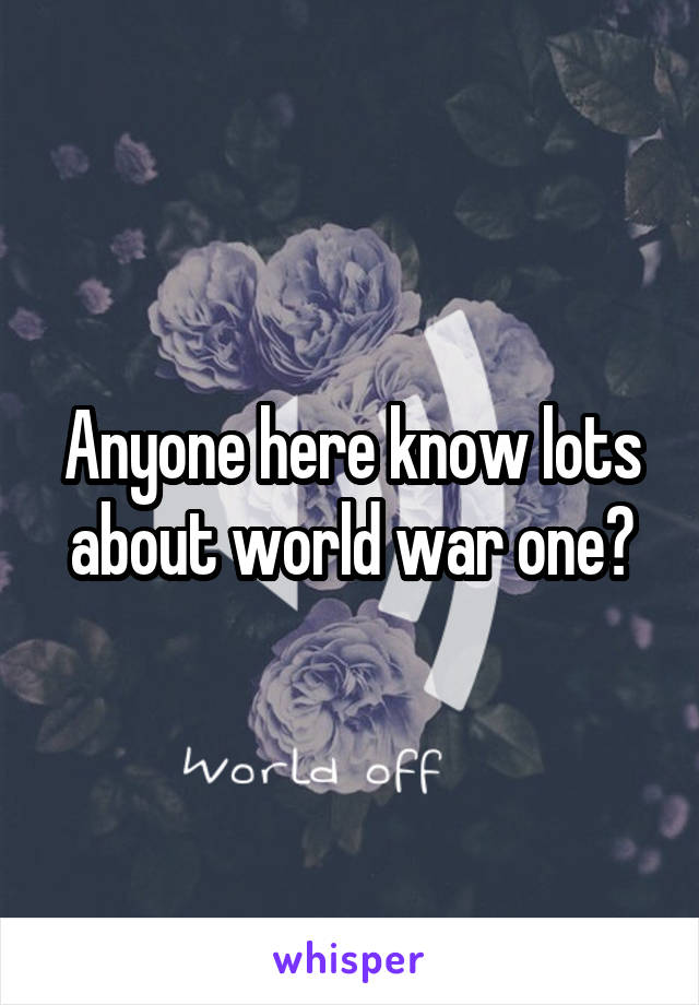 Anyone here know lots about world war one?