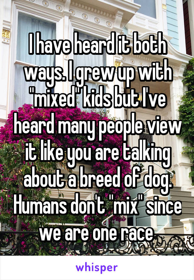 I have heard it both ways. I grew up with "mixed" kids but I've heard many people view it like you are talking about a breed of dog. Humans don't "mix" since we are one race 