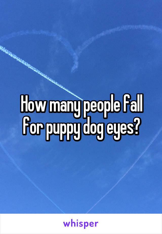 How many people fall for puppy dog eyes?