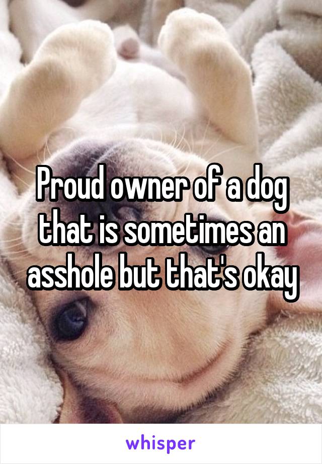 Proud owner of a dog that is sometimes an asshole but that's okay