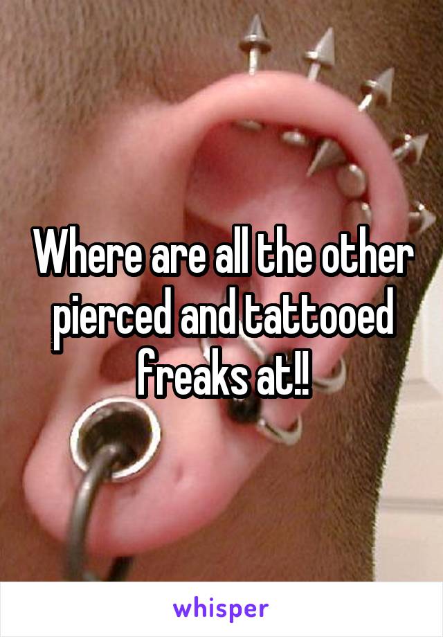 Where are all the other pierced and tattooed freaks at!!