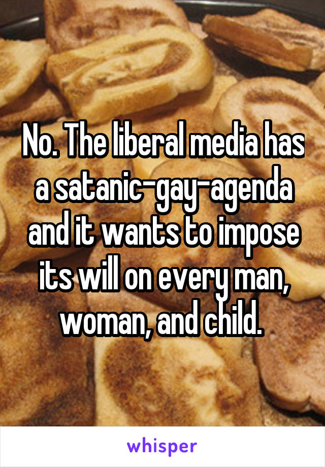No. The liberal media has a satanic-gay-agenda and it wants to impose its will on every man, woman, and child. 