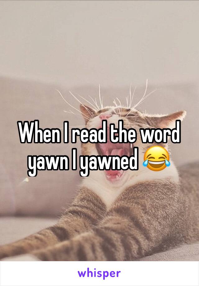 When I read the word yawn I yawned 😂