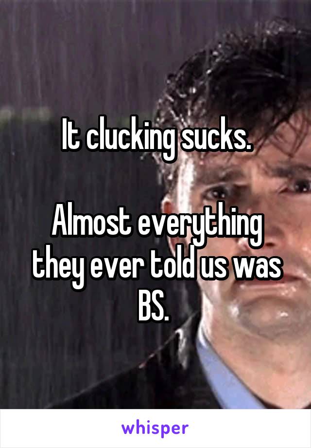 It clucking sucks.

Almost everything they ever told us was BS. 