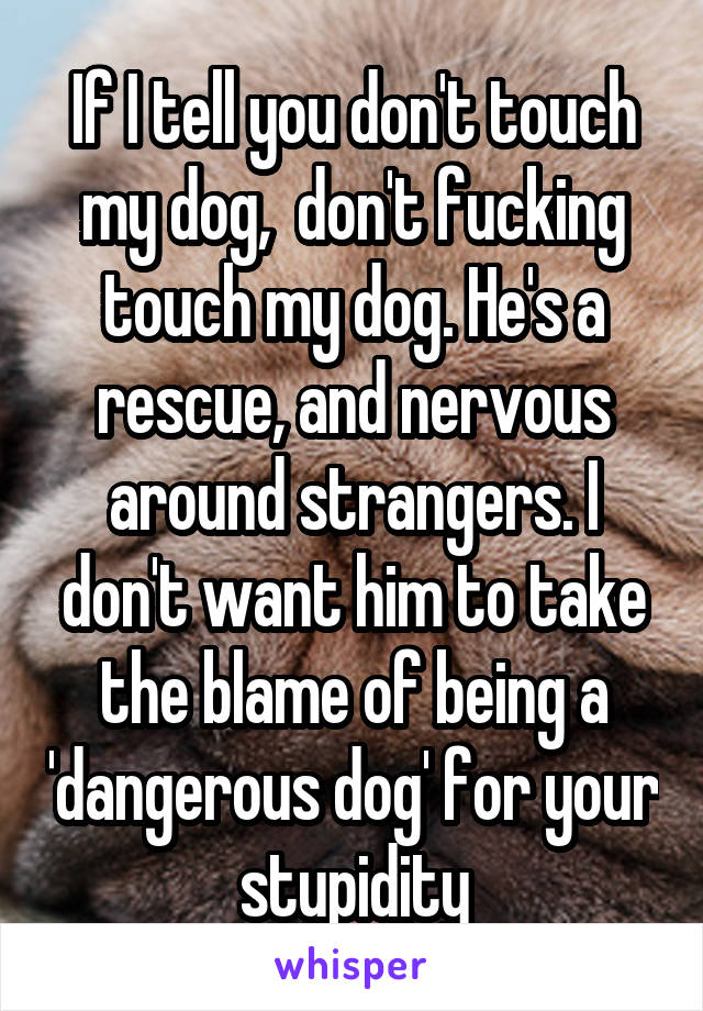 If I tell you don't touch my dog,  don't fucking touch my dog. He's a rescue, and nervous around strangers. I don't want him to take the blame of being a 'dangerous dog' for your stupidity