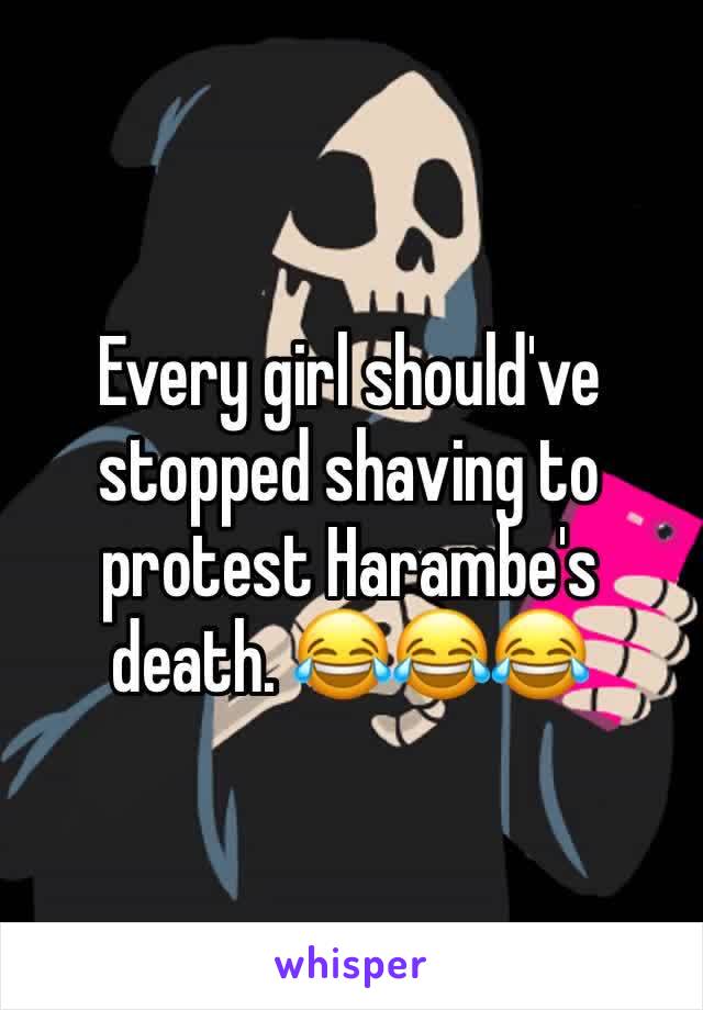 Every girl should've stopped shaving to protest Harambe's death. 😂😂😂