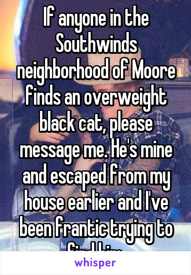 If anyone in the Southwinds neighborhood of Moore finds an overweight black cat, please message me. He's mine and escaped from my house earlier and I've been frantic trying to find him.