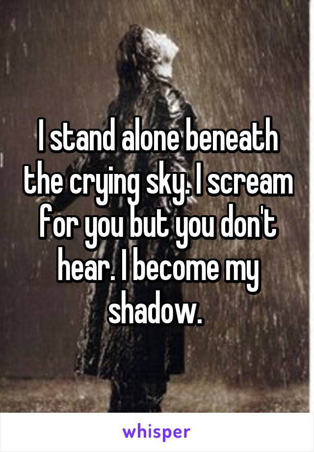I stand alone beneath the crying sky. I scream for you but you don't hear. I become my shadow. 