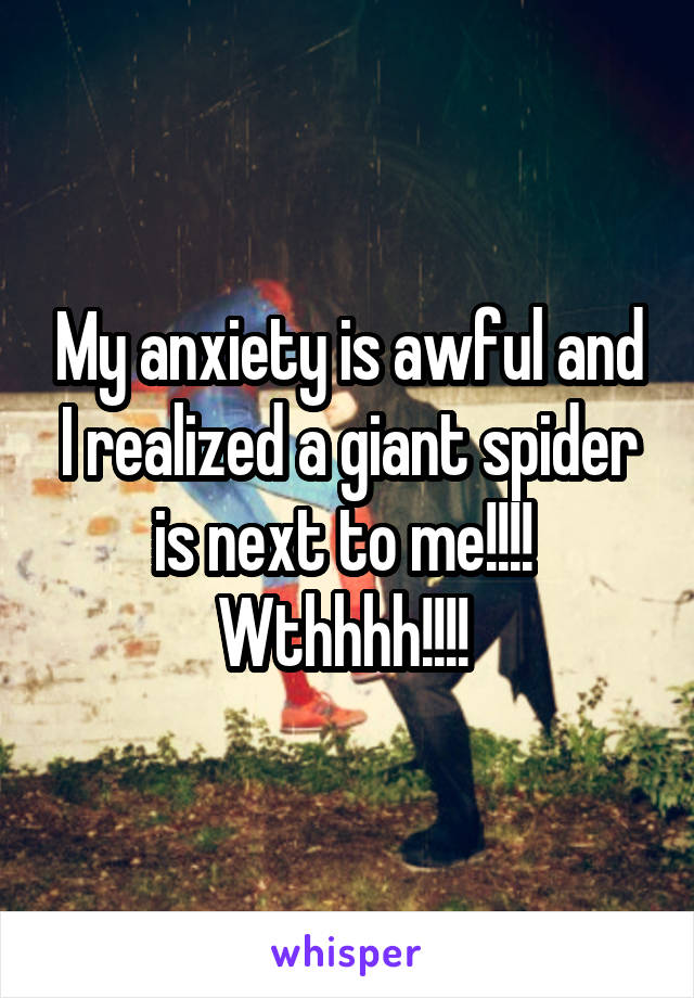 My anxiety is awful and I realized a giant spider is next to me!!!!  Wthhhh!!!! 