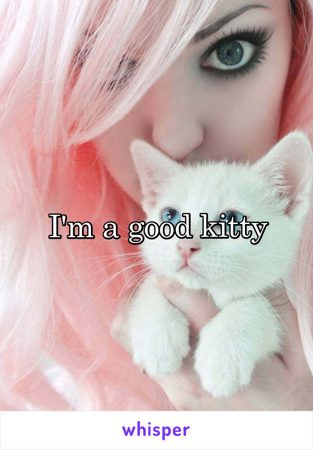 I'm a good kitty