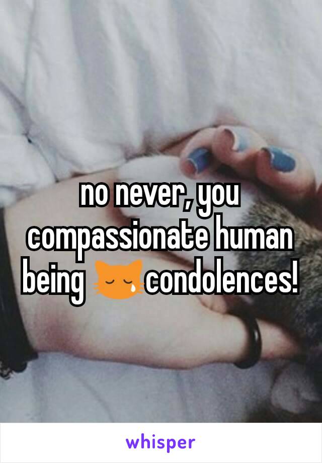 no never, you compassionate human being 😿condolences!