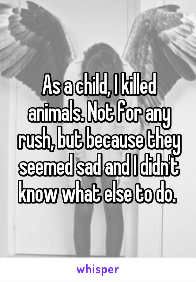 As a child, I killed animals. Not for any rush, but because they seemed sad and I didn't know what else to do. 