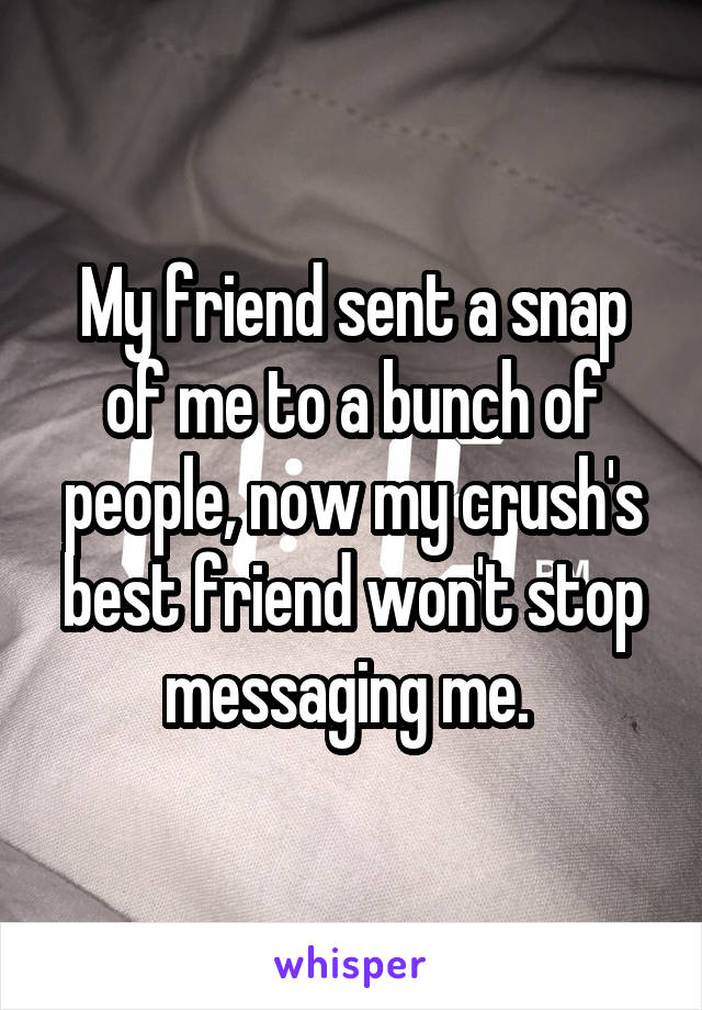 My friend sent a snap of me to a bunch of people, now my crush's best friend won't stop messaging me. 