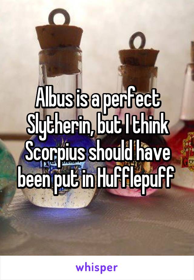 Albus is a perfect Slytherin, but I think Scorpius should have been put in Hufflepuff 