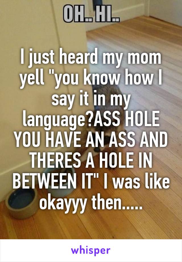 I just heard my mom yell "you know how I say it in my language?ASS HOLE YOU HAVE AN ASS AND THERES A HOLE IN BETWEEN IT" I was like okayyy then.....