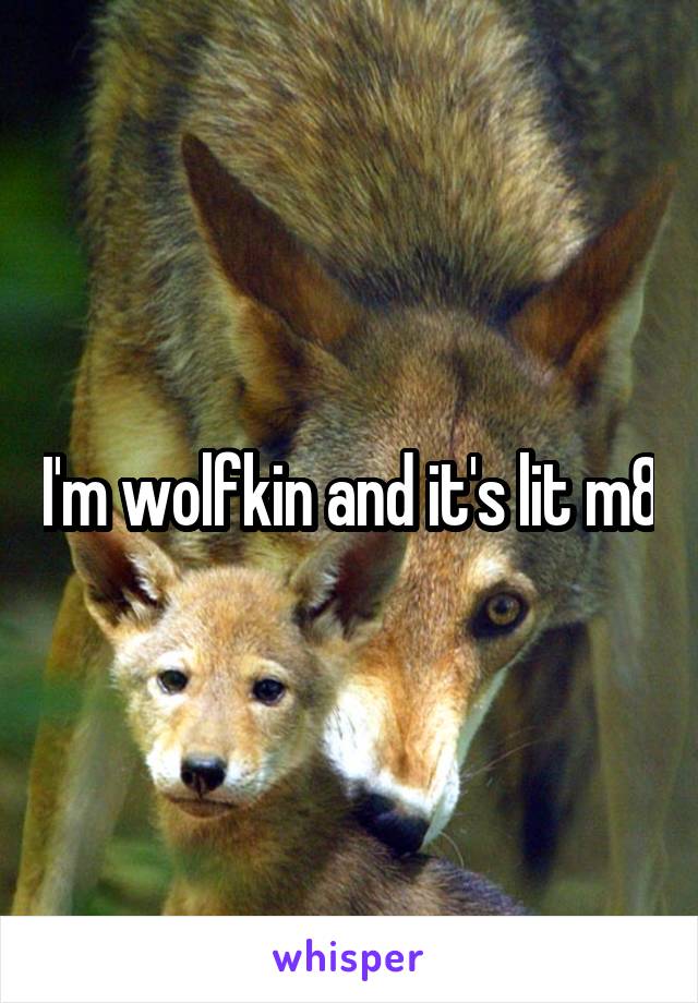 I'm wolfkin and it's lit m8