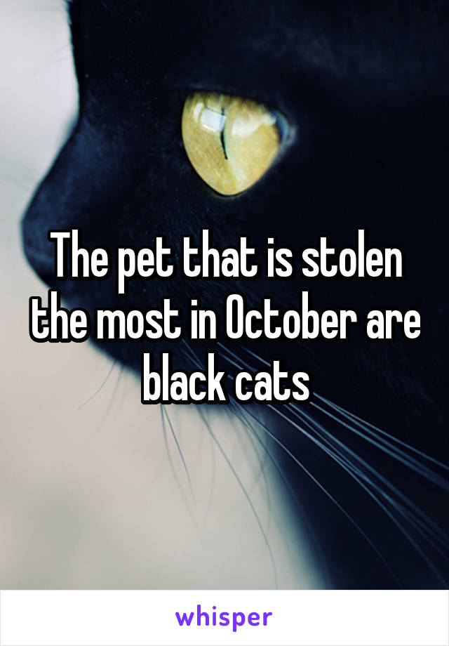 The pet that is stolen the most in October are black cats