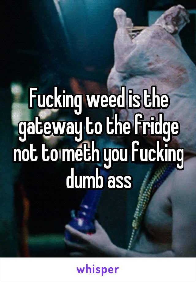 Fucking weed is the gateway to the fridge not to meth you fucking dumb ass