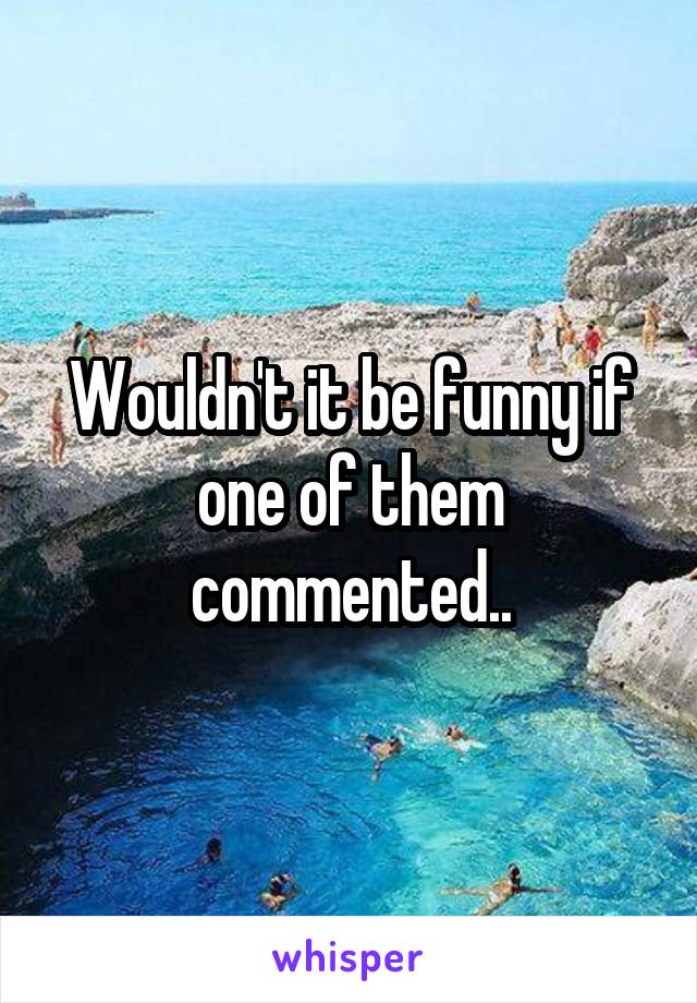 Wouldn't it be funny if one of them commented..