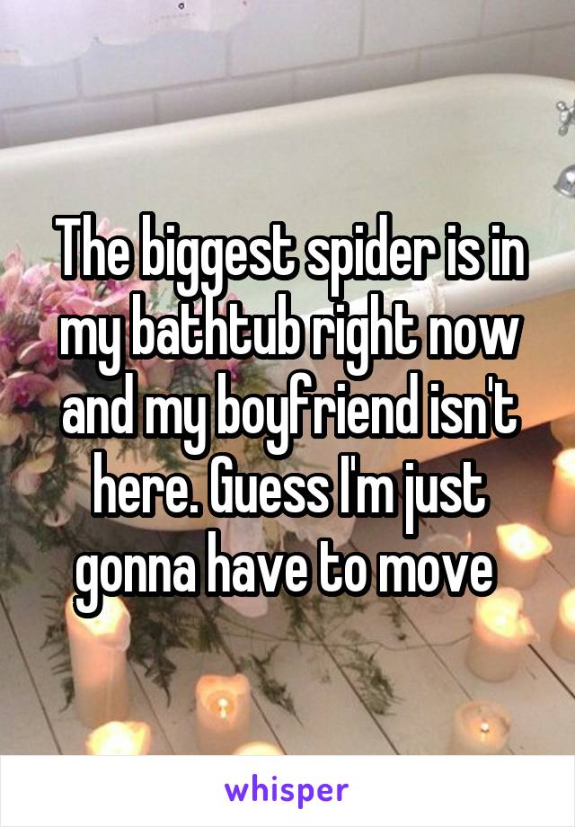 The biggest spider is in my bathtub right now and my boyfriend isn't here. Guess I'm just gonna have to move 