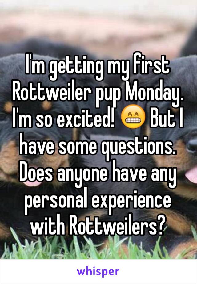 I'm getting my first Rottweiler pup Monday. I'm so excited! 😁 But I have some questions. Does anyone have any personal experience with Rottweilers?