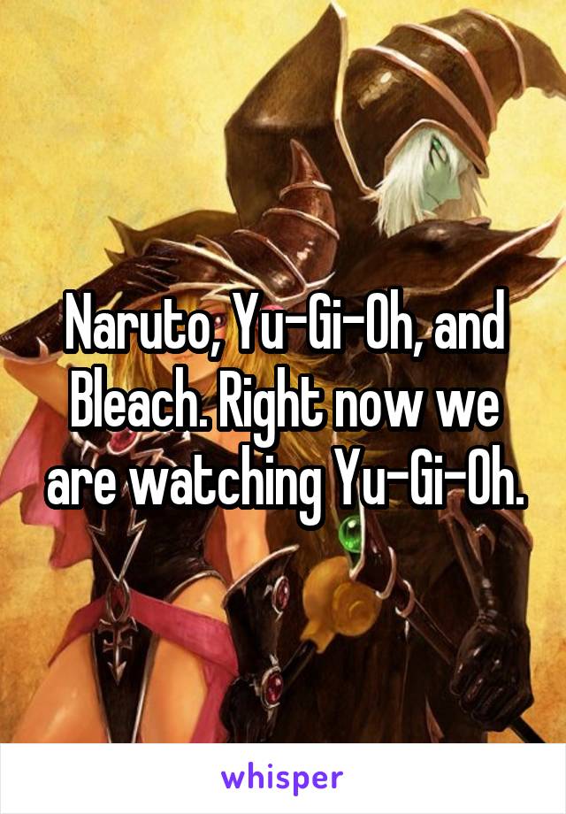 Naruto, Yu-Gi-Oh, and Bleach. Right now we are watching Yu-Gi-Oh.