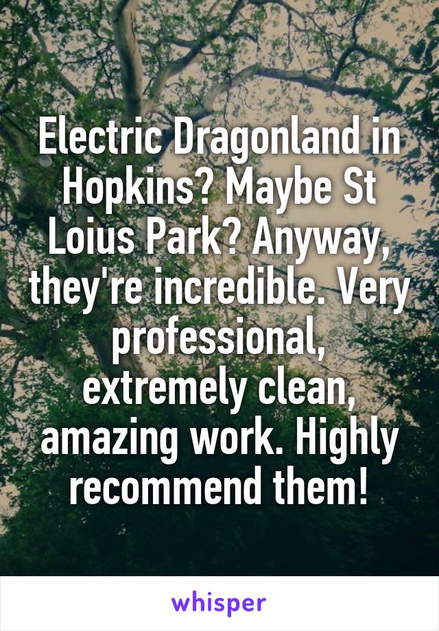 Electric Dragonland in Hopkins? Maybe St Loius Park? Anyway, they're incredible. Very professional, extremely clean, amazing work. Highly recommend them!
