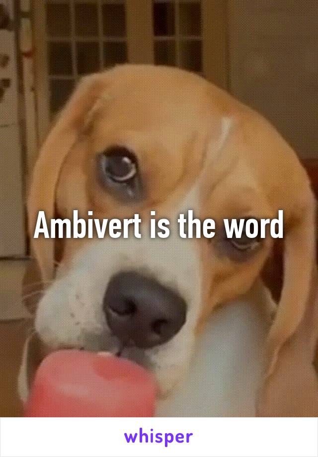 Ambivert is the word