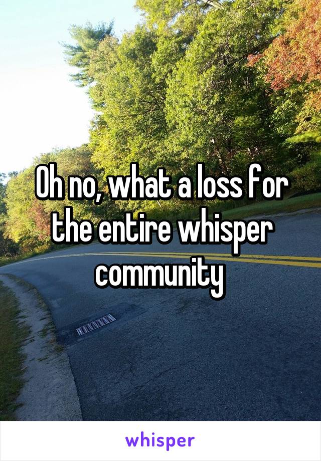 Oh no, what a loss for the entire whisper community 