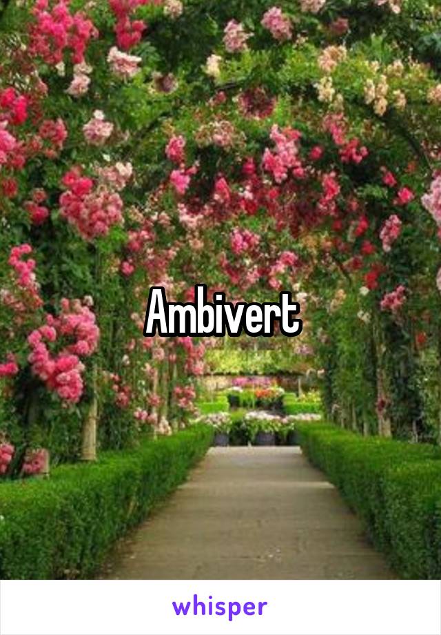 Ambivert