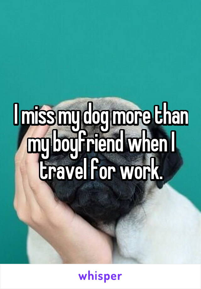 I miss my dog more than my boyfriend when I travel for work.