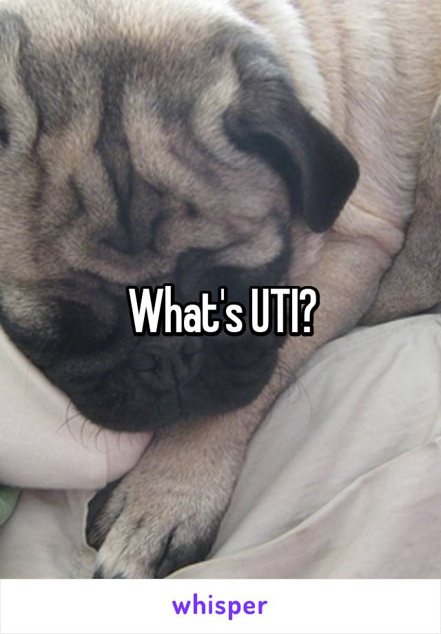 What's UTI?