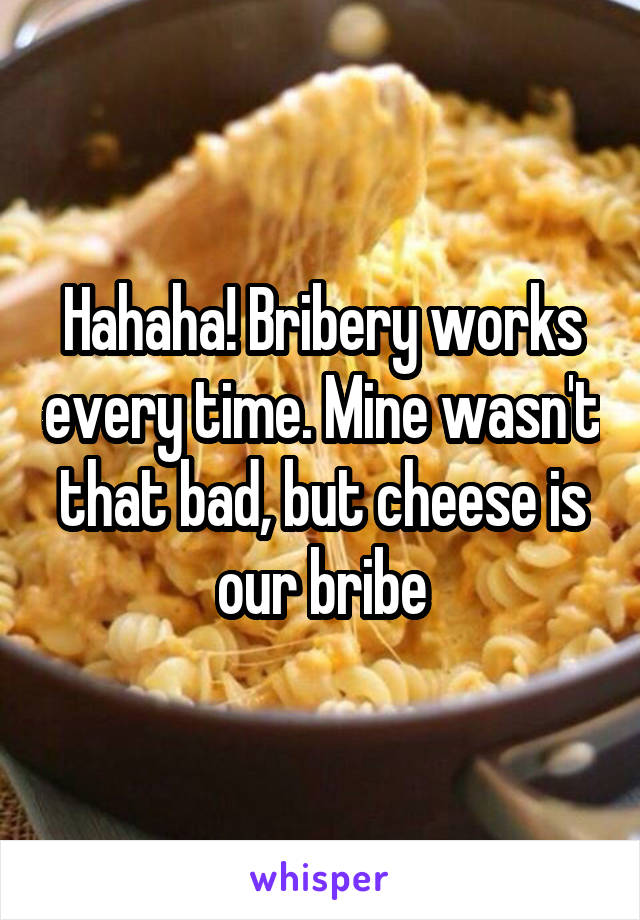 Hahaha! Bribery works every time. Mine wasn't that bad, but cheese is our bribe