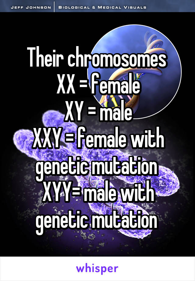 Their chromosomes 
XX = female
XY = male
XXY = female with genetic mutation 
XYY= male with genetic mutation 