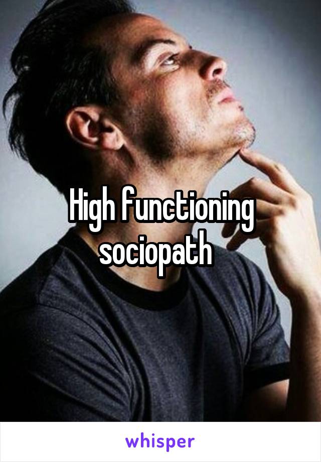 High functioning sociopath  