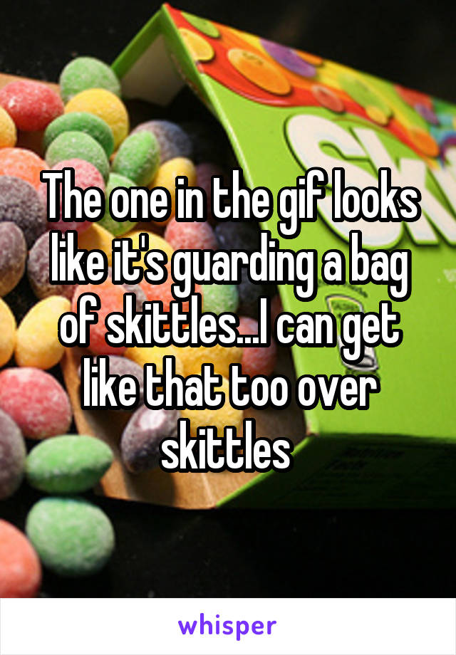The one in the gif looks like it's guarding a bag of skittles...I can get like that too over skittles 