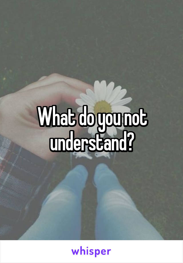 What do you not understand?