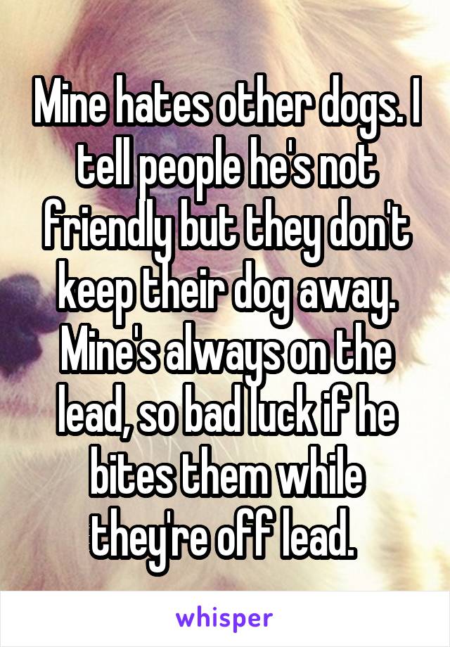 Mine hates other dogs. I tell people he's not friendly but they don't keep their dog away. Mine's always on the lead, so bad luck if he bites them while they're off lead. 