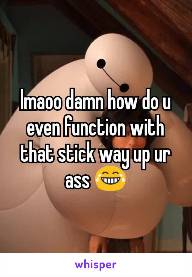 lmaoo damn how do u even function with that stick way up ur ass 😂