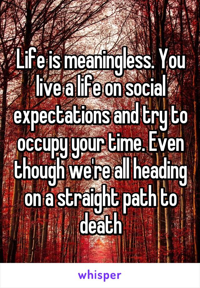 Life is meaningless. You live a life on social expectations and try to occupy your time. Even though we're all heading on a straight path to death