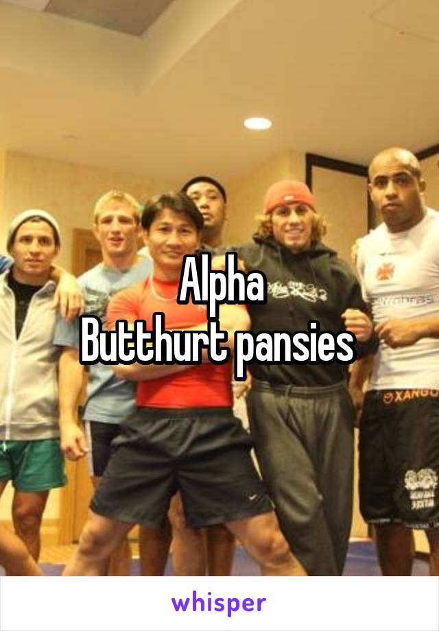 Alpha
Butthurt pansies 