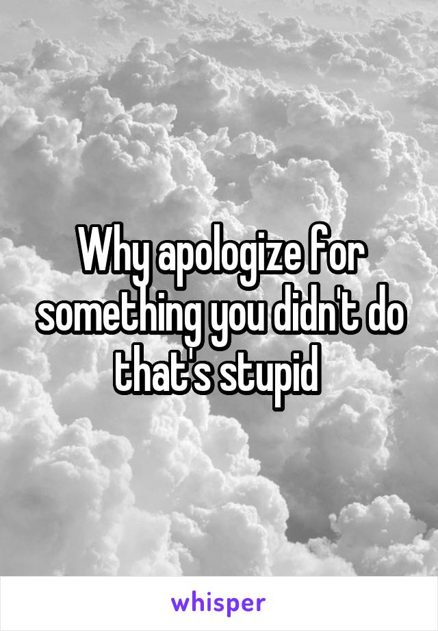Why apologize for something you didn't do that's stupid 