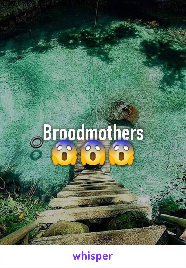 Broodmothers
😱😱😱