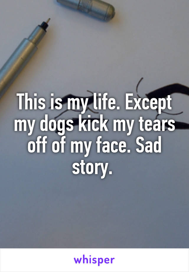 This is my life. Except my dogs kick my tears off of my face. Sad story. 