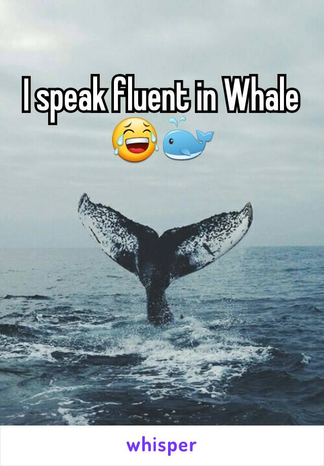 I speak fluent in Whale 😂🐳
