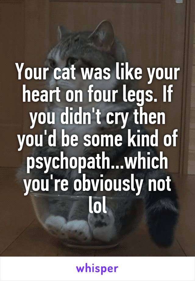 Your cat was like your heart on four legs. If you didn't cry then you'd be some kind of psychopath...which you're obviously not lol