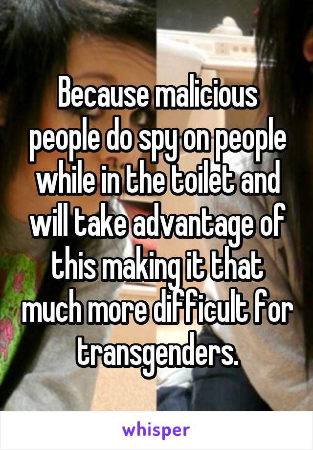 Because malicious people do spy on people while in the toilet and will take advantage of this making it that much more difficult for transgenders.